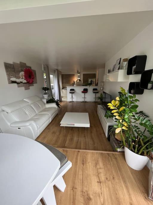 Appartement 55 M2 Le Chesnay Le Chesnay  Exterior foto